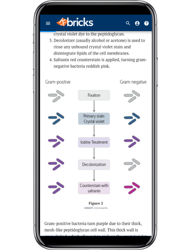 app-screenshot