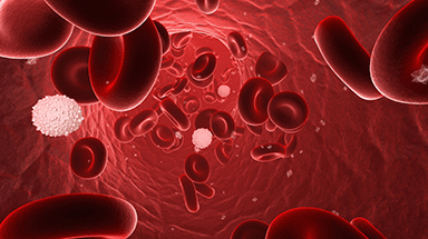 Hematopoietic Malignancies: Putting It All Together