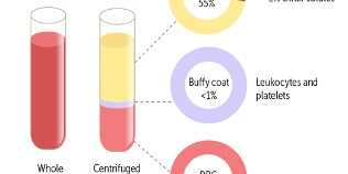 Plasma Composition